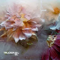 Tinlicker — Nowhere To Go (Feat. Brian Molko) Ft Brian Molko — обложка
